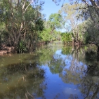 _800Mt Borradaile - Cooper Creek_5636_m